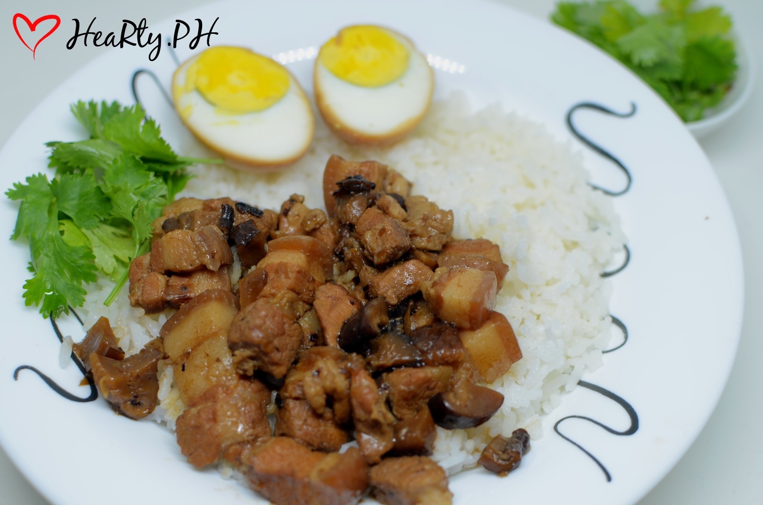 Taiwanese Braised Pork with Rice