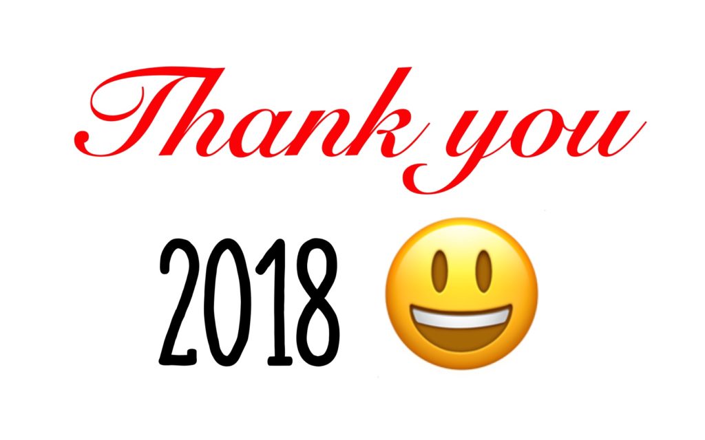 My 2018 Year in Review